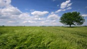Baranja vikend 1 image002