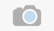 Koncerti domaćih glazbenih izvođača i umjetnika Default Image